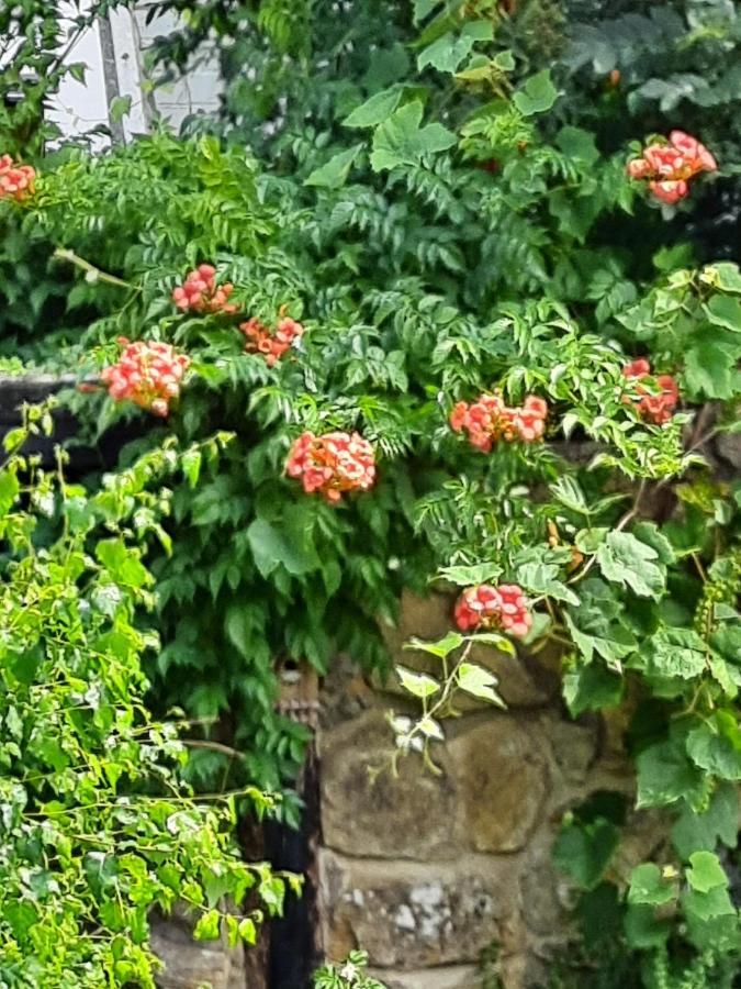 Waldfeucht Ferienwohnung Hahnenblick מראה חיצוני תמונה